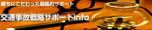 ��ʎ��̐헪info